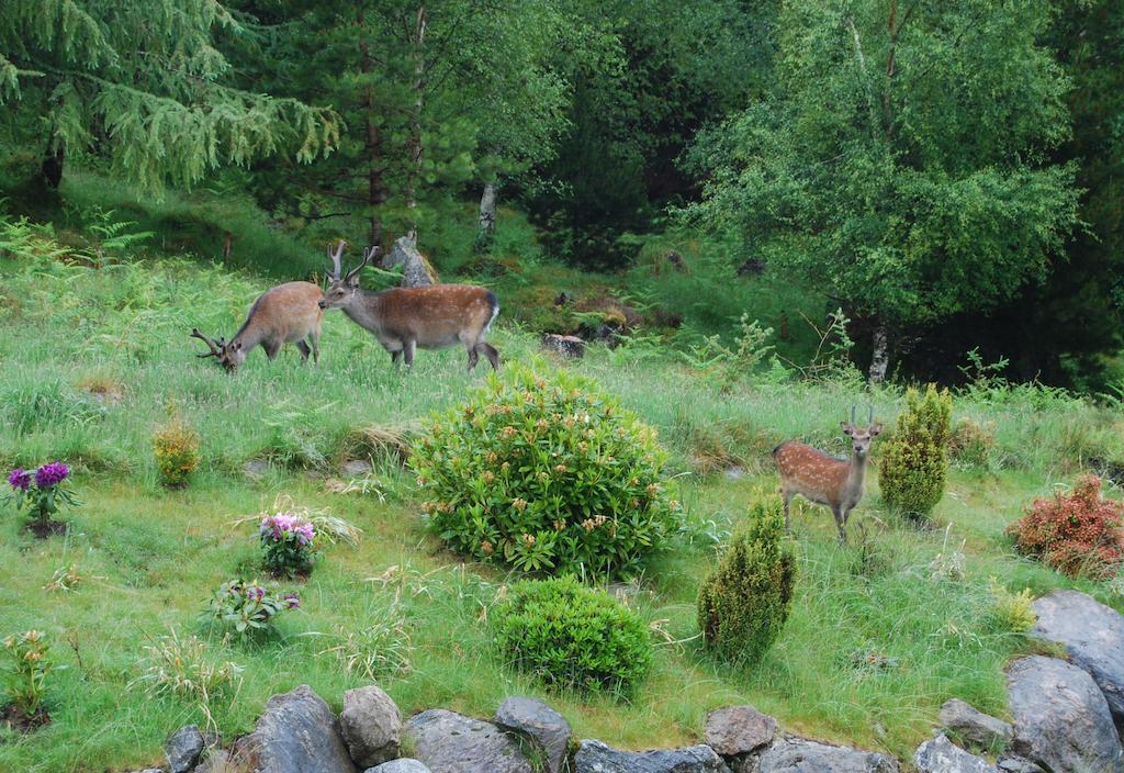 Dunlichity House Bed And Breakfast Inverness Luaran gambar